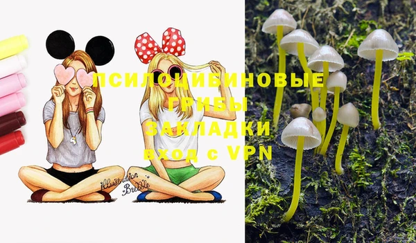 мет Алексеевка