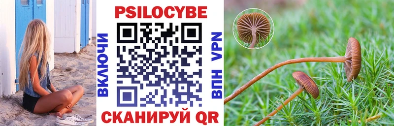 Галлюциногенные грибы прущие грибы  Красноярск 